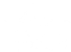 Elegant Wedding Services Logo PNG image