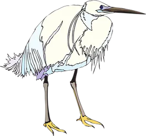 Elegant White Egret Illustration