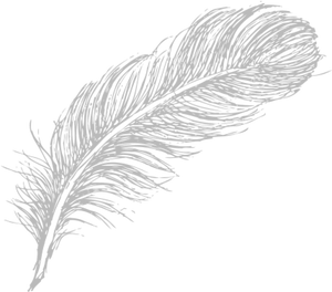 Elegant White Feather Illustration PNG image