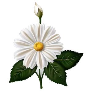 Elegant White Flower PNG 54