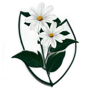 Elegant White Flower PNG 67