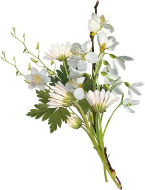 Elegant White Flowers Arrangement PNG image