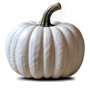 Elegant White Pumpkin Png 22 PNG image