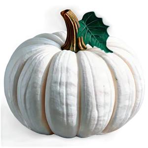 Elegant White Pumpkin Png 43 PNG image