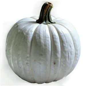 Elegant White Pumpkin Png Rmv99 PNG image