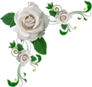 Elegant White Rose Corner Design PNG image