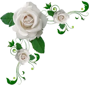 Elegant White Roses Artistic Design PNG image