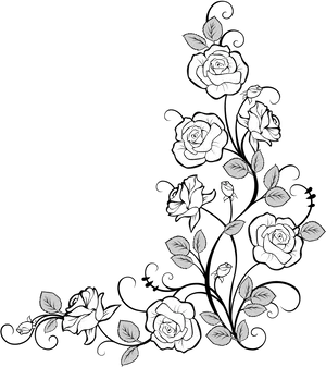 Elegant White Roses Corner Design PNG image
