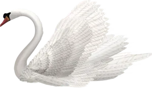 Elegant White Swan PNG image