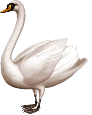 Elegant White Swan Illustration.png