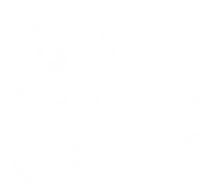 Elegant White Swirlson Black PNG image