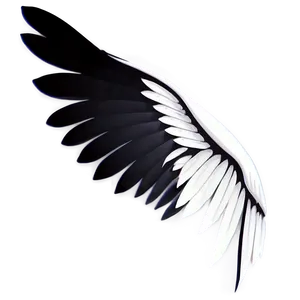 Elegant White Wings Silhouette Png 71 PNG image