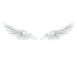 Elegant White Wings Silhouette Png Cha90 PNG image