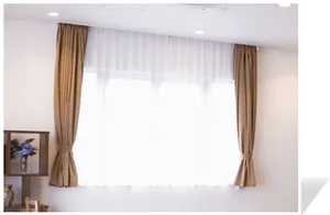 Elegant Window Curtains Interior
