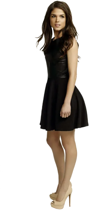 Elegant Womanin Black Dress PNG image