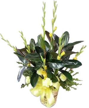 Elegant Yellow Gladiolus Arrangement PNG image