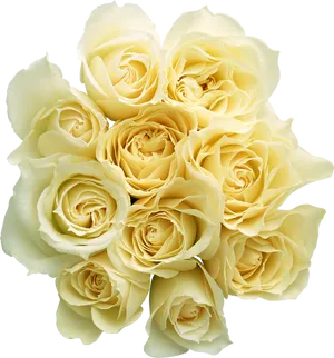 Elegant_ Yellow_ Roses_ Bouquet PNG image