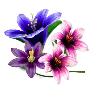 Elementary Flower PNG 06202024