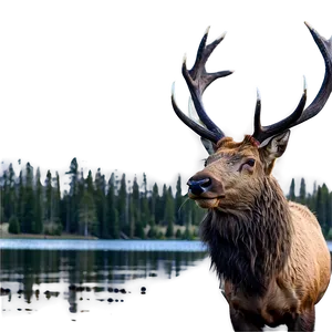 Elk By The Lake PNG Gfx46 PNG