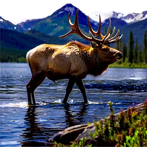 Elk By The Lake PNG Qtq16 PNG