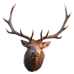 Elk Digital Art PNG 05242024