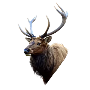 Elk Digital Art PNG 05242024 PNG