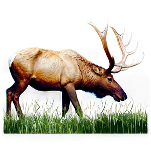 Elk Grazing Png 24 PNG image