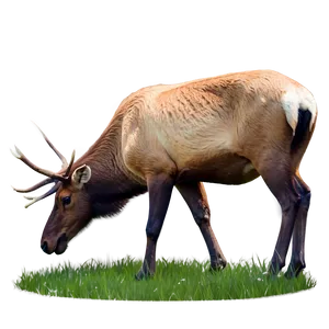 Elk Grazing Png 91 PNG image