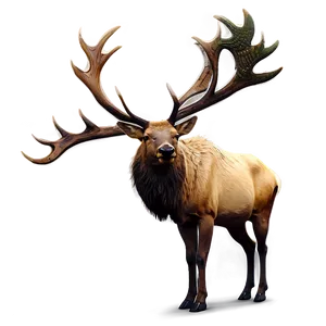 Elk Illustration PNG 05242024
