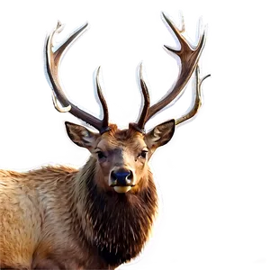 Elk In Nature Png 05242024 PNG image