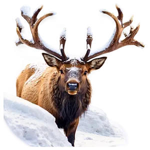 Elk In Snow Png Ajp PNG image