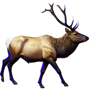 Elk Painting PNG Hfj14 PNG