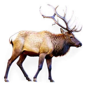 Elk Side View PNG 36 PNG