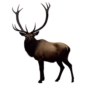 Elk Silhouette At Night Png Uha PNG image