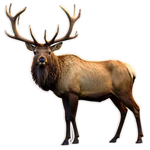 Elk Stance Png 05242024 PNG image