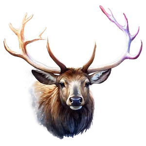 Elk Watercolor PNG 05242024