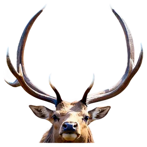 Elk Wildlife Png Kog PNG image