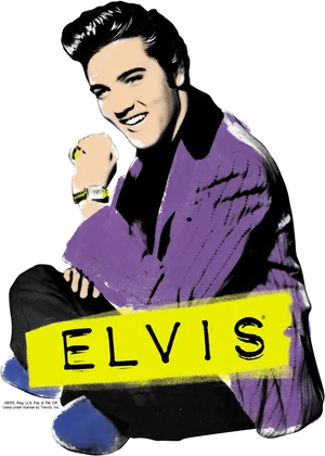 Elvis Pop Art Portrait PNG image