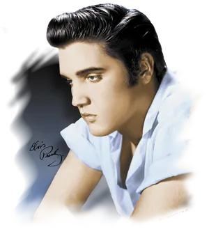 Elvis Presley Classic Portrait PNG image