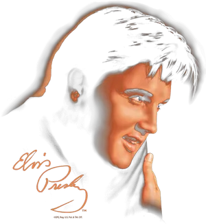 Elvis Presley Iconic Stylized Portrait PNG image