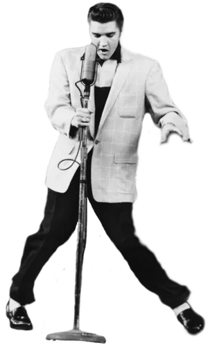 Elvis Presley Performingin Concert PNG image