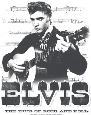 Elvis The Kingof Rockand Roll PNG image