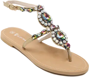 Embellished Thong Sandal PNG image