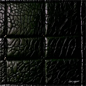 Embossed Black Leather PNG Fuv