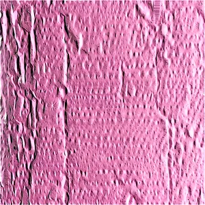 Embossed Paper Texture PNG 05232024