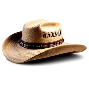 Embroidered Cowboy Hat Png 31 PNG image