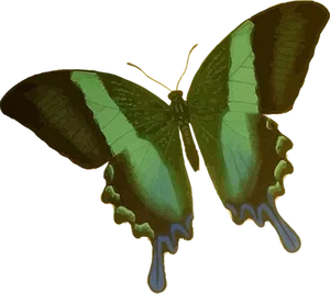 Emerald Green Butterfly Illustration