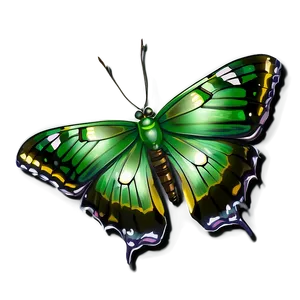 Emerald Winged Butterfly Illustration PNG Adw14 PNG