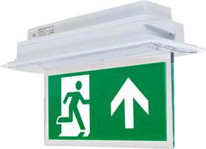 Emergency Exit Sign Illuminated