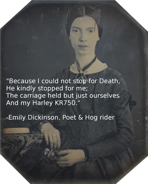 Emily Dickinson Hog Rider Parody PNG image